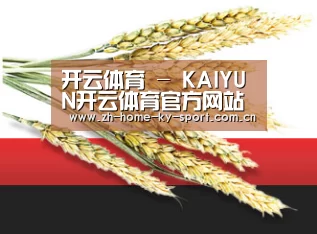 开云体育 - KAIYUN开云体育官方网站 - KAIYUN SPORTS